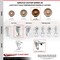 Service Caster 5 Inch SS High Temp Phenolic Top Plate Caster Set Total Lock Brake SCC SCC-SSTTL20S514-PHSHT-4 - alternate 3